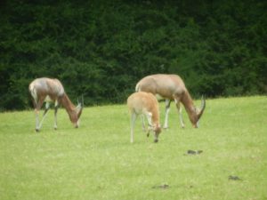 DSCN5327