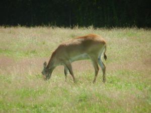 DSCN5345