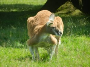 DSCN5463
