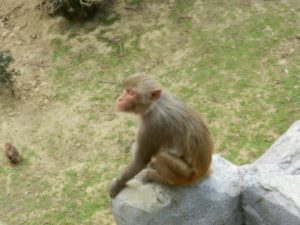 DSCN5526
