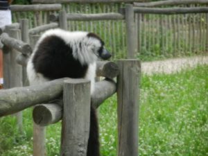 DSCN5550