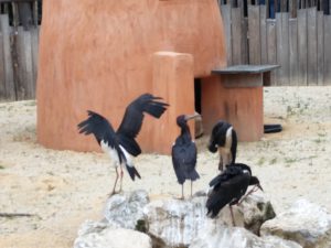 IMG_20160714_174012