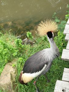 IMG_20160714_174133