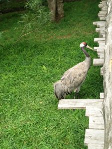 IMG_20160714_174149