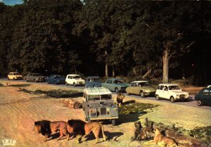 thoiry_postcard_9