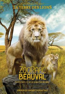 lion-beauval